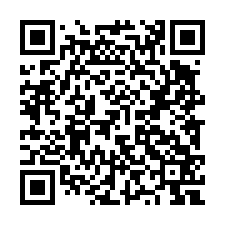 QR code for NYL463