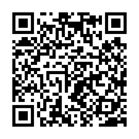 QR code for NYX629