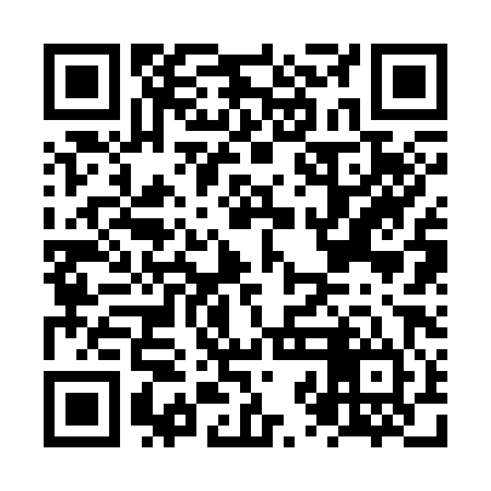 QR code for NZB384