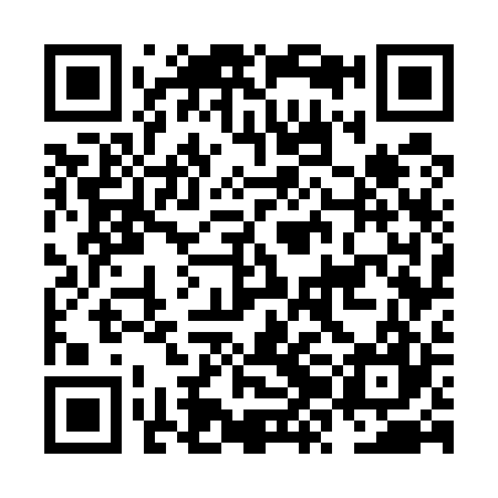 QR code for NZG527