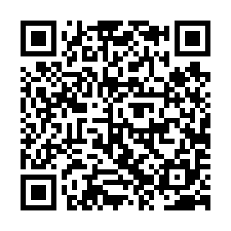 QR code for NZT695