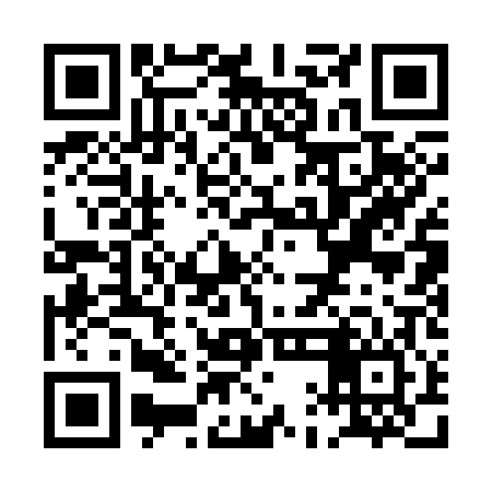 QR code for PAA306