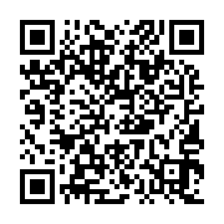 QR code for PAE913