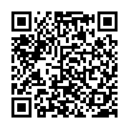 QR code for PAG308