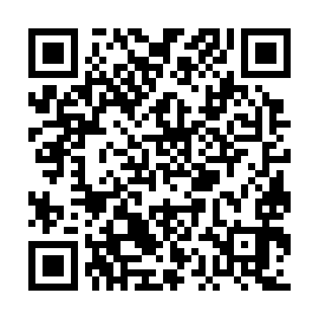 QR code for PAG393