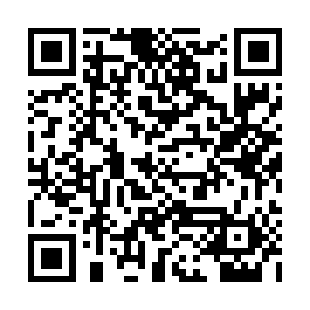 QR code for PAL600