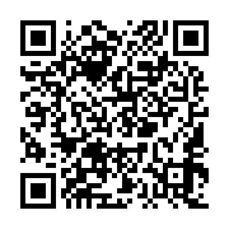 QR code for PAM959