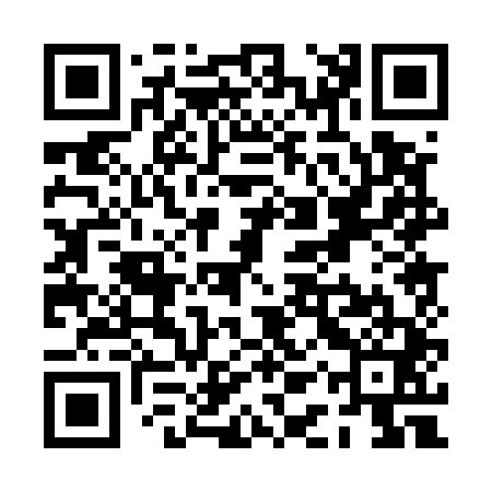 QR code for PAP541