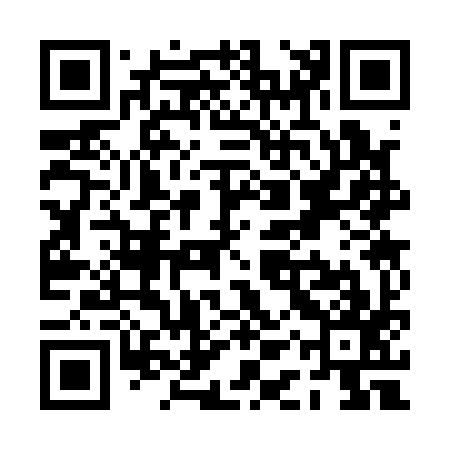 QR code for PAS197