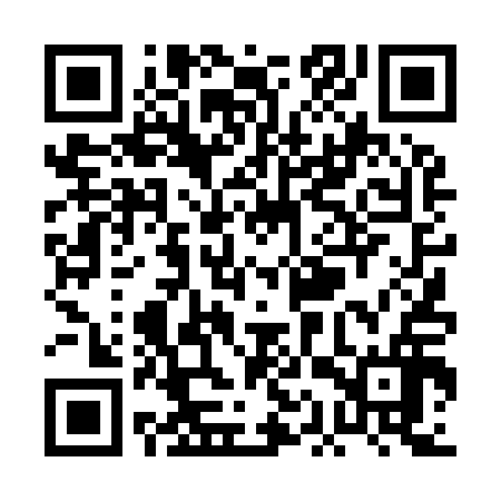 QR code for PAT916