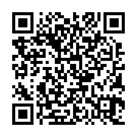 QR code for PAU225
