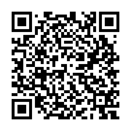 QR code for PAU314