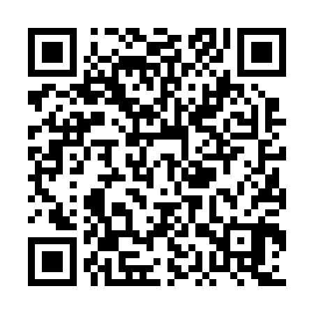 QR code for PAV200