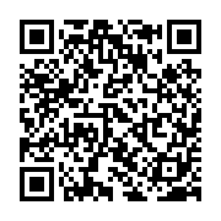 QR code for PAV251