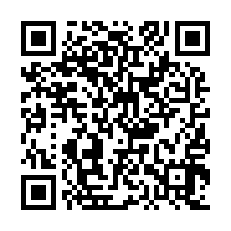 QR code for PAV917