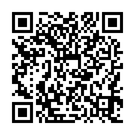 QR code for PAX951