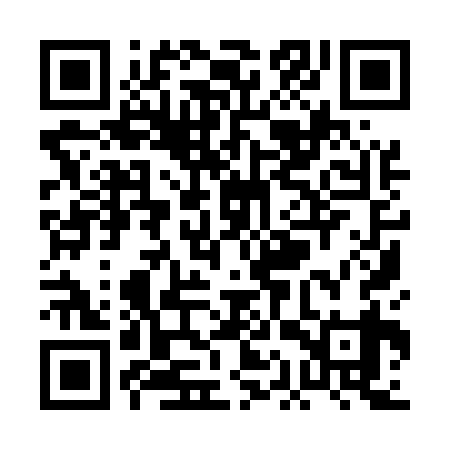 QR code for PAY539