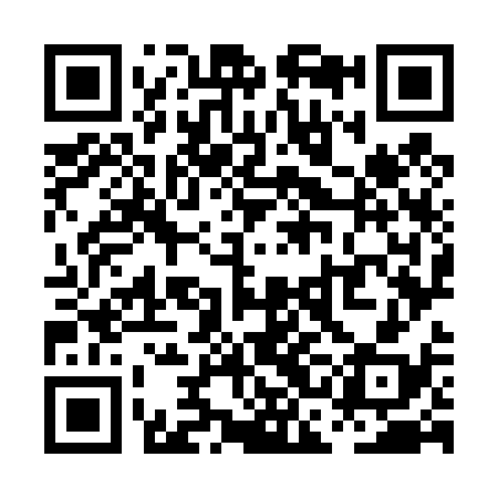 QR code for PCO438