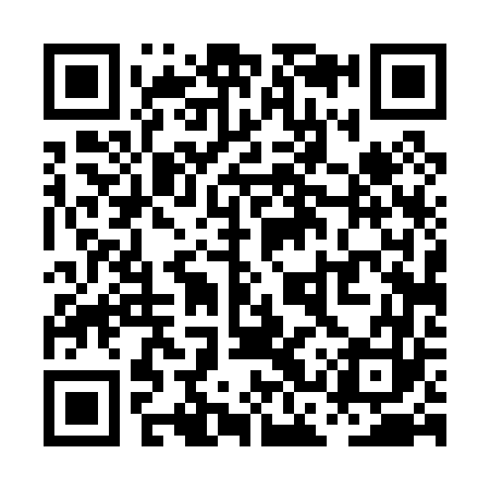 QR code for PCT063