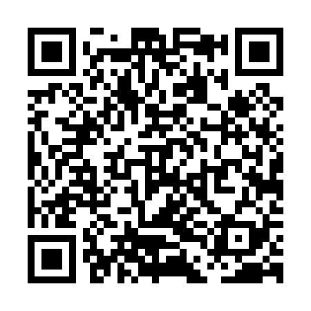 QR code for PDD029