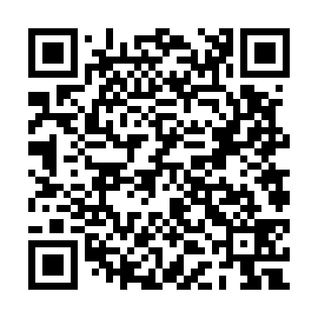 QR code for PDF539