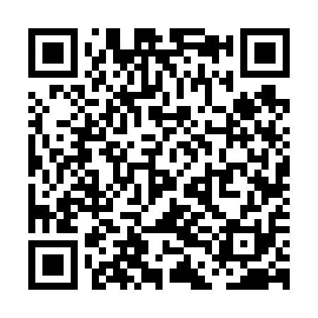 QR code for PDF611