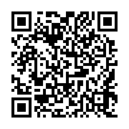 QR code for PDI358