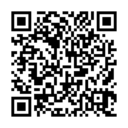 QR code for PDI565
