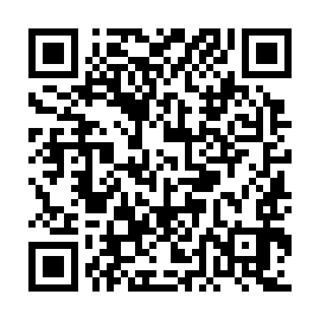 QR code for PDK393