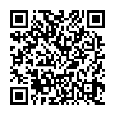 QR code for PDZ339