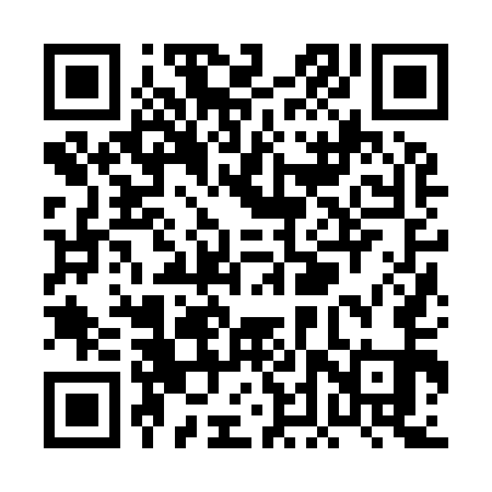 QR code for PDZ951