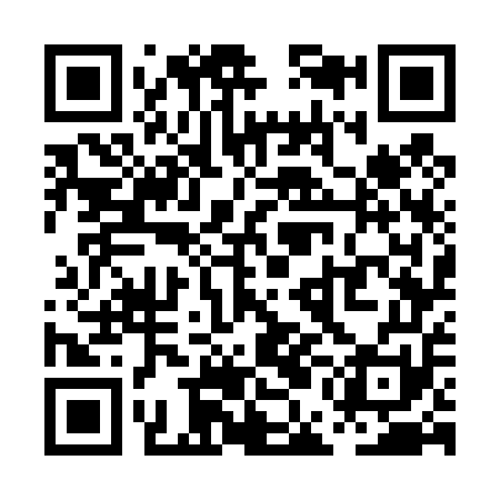 QR code for PEG451