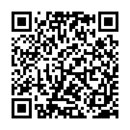 QR code for PES393