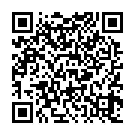QR code for PET339