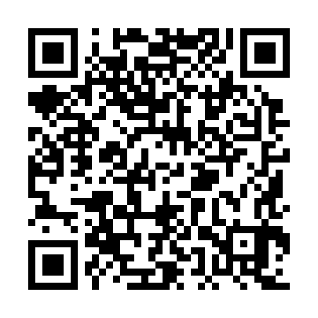 QR code for PEY383