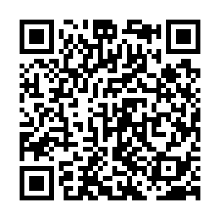 QR code for PFE739