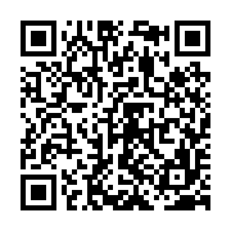 QR code for PFG296