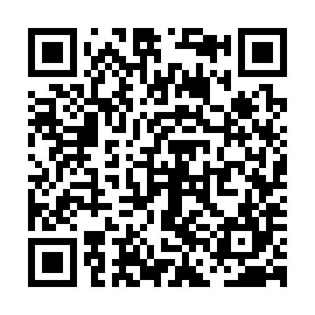 QR code for PFG384