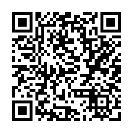 QR code for PFI383