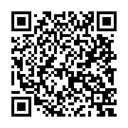 QR code for PFL533