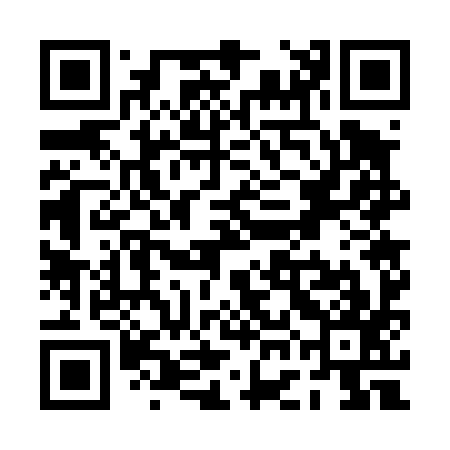 QR code for PGG497