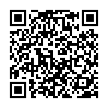 QR code for PGM228