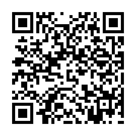 QR code for PGN339