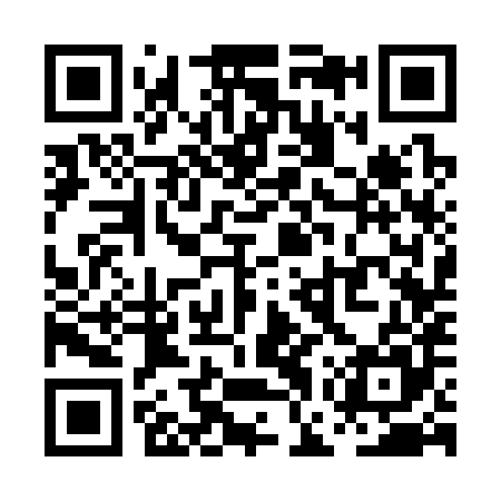 QR code for PGS385