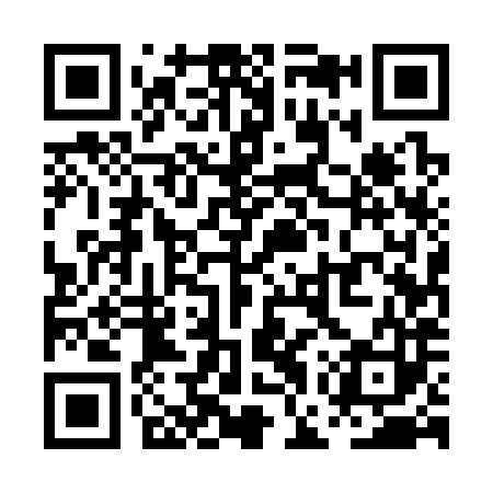 QR code for PGU383