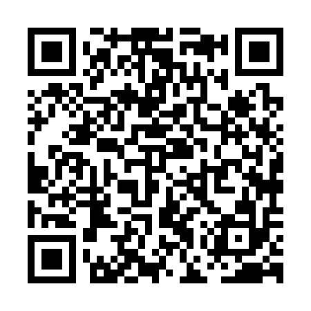 QR code for PGX312