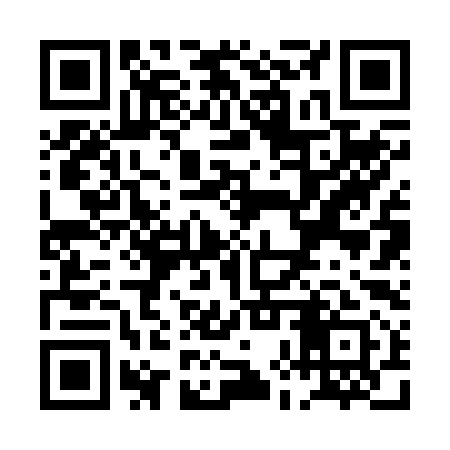 QR code for PHR291