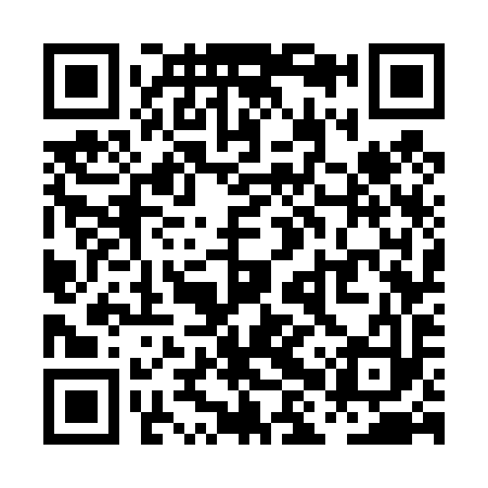 QR code for PHW493