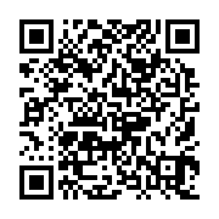 QR code for PHY301