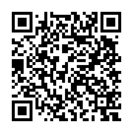 QR code for PHZ419